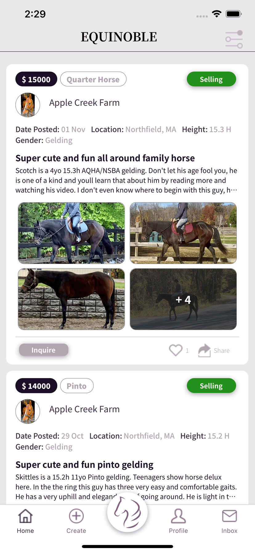 Equinoble mobile view